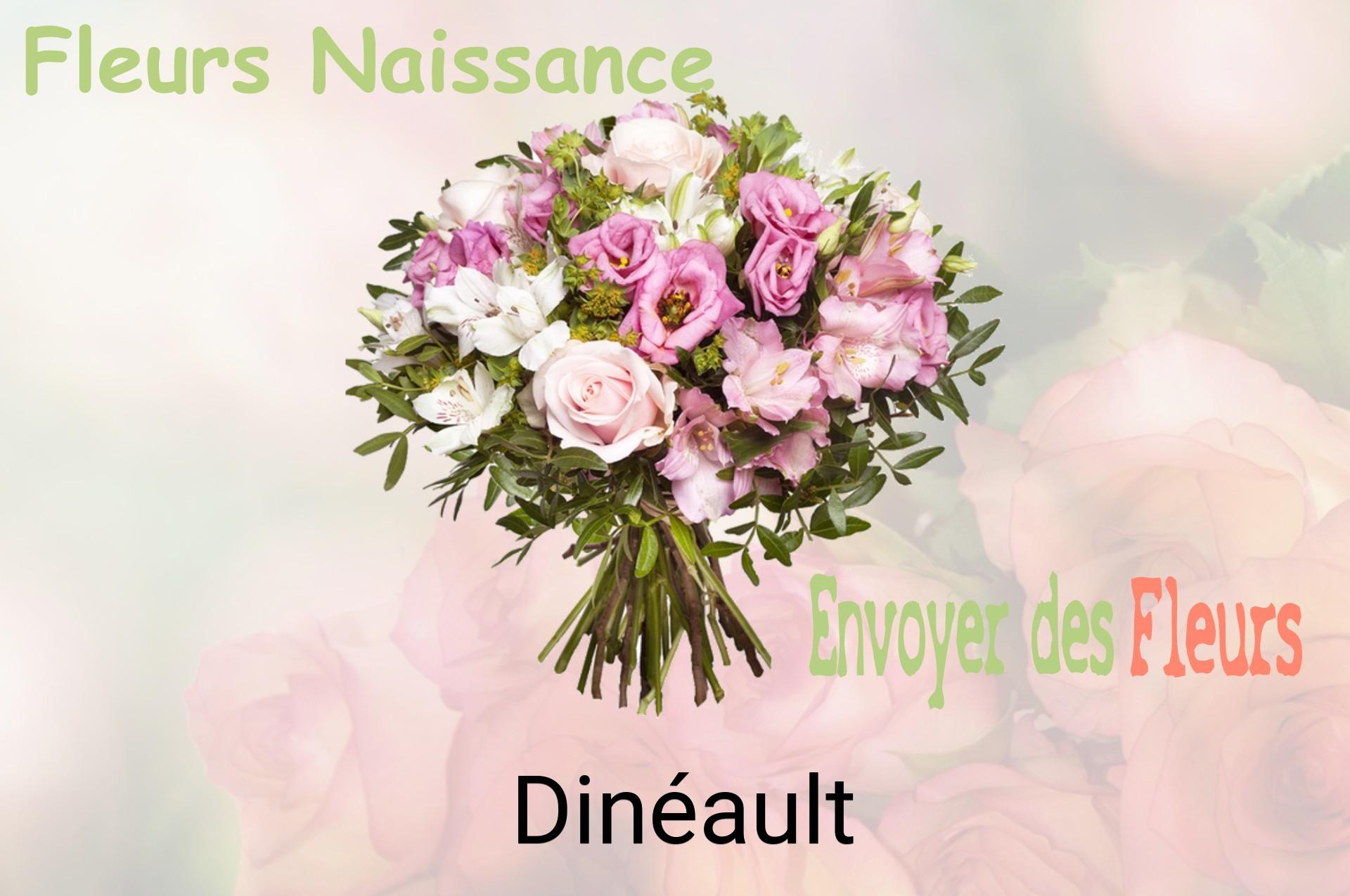 Bouquet de fleurs de naissance livré à Dinéault